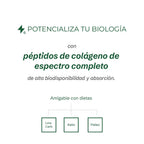 FLORA - Bella Pépticos de Colágeno 360 g