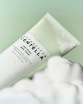 Tea-trica BHA foam SKIN1004
