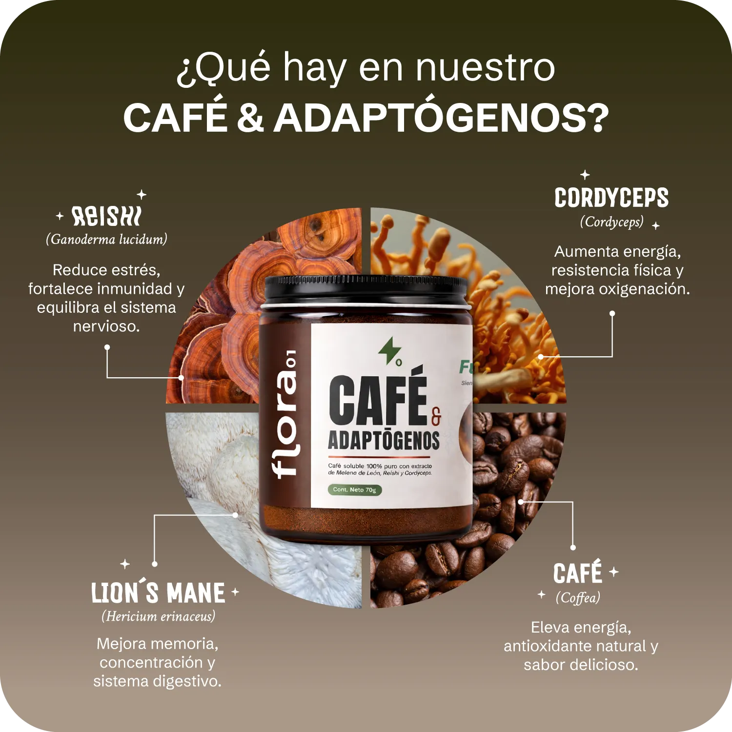 FLORA - Café & Adaptógenos