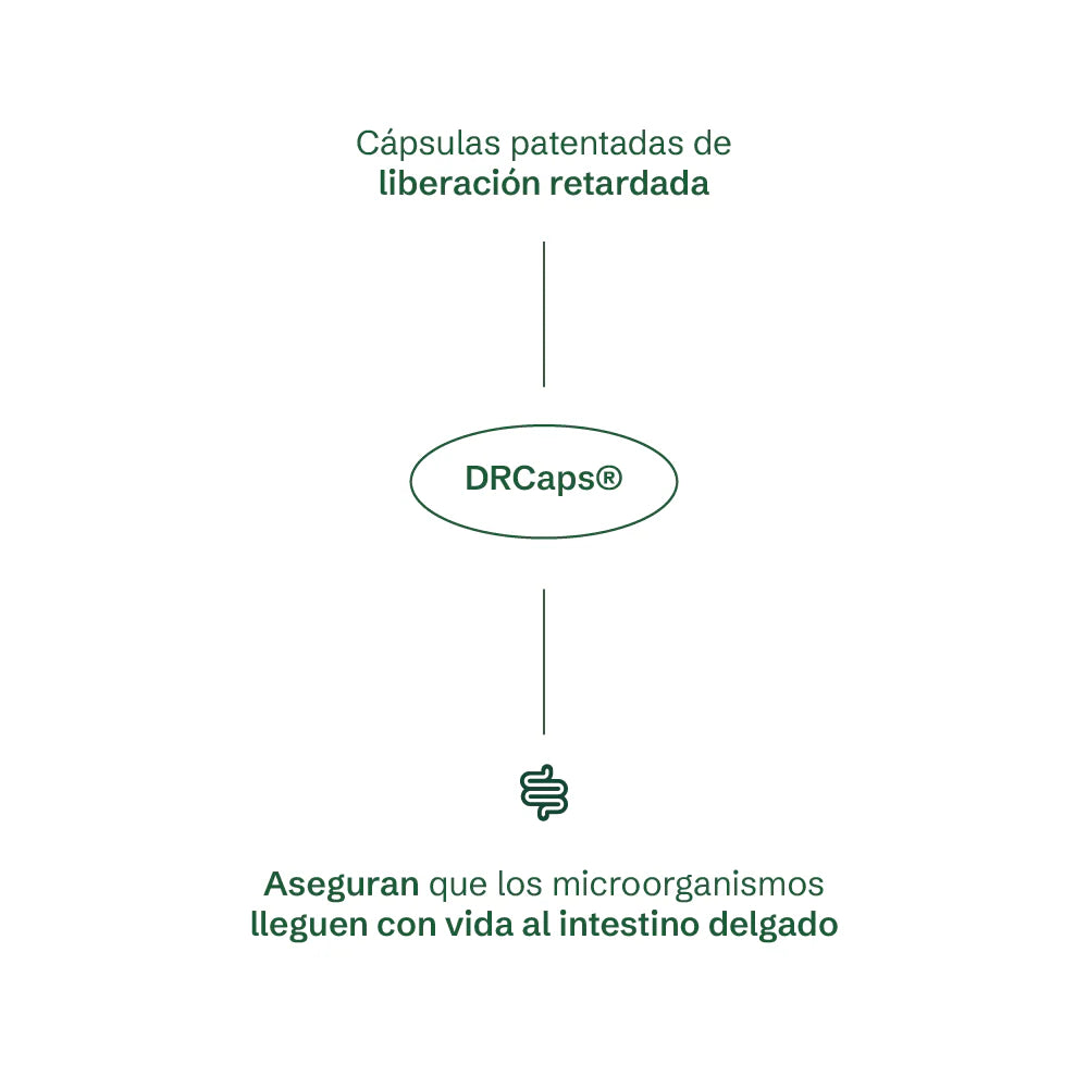 FLORA - Simbiótico diario | Probióticos 60B15S