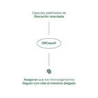 FLORA - Simbiótico diario | Probióticos 60B15S